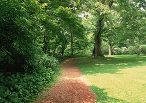 「薄毛改善の決定版！植毛の方法と費用を徹底解説」